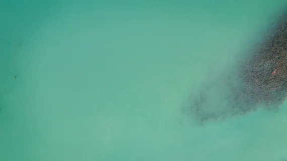 Casino Lucky Luke Stuðningur